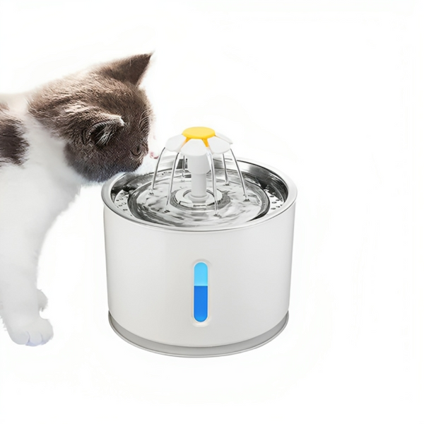 Pet Water Fountain