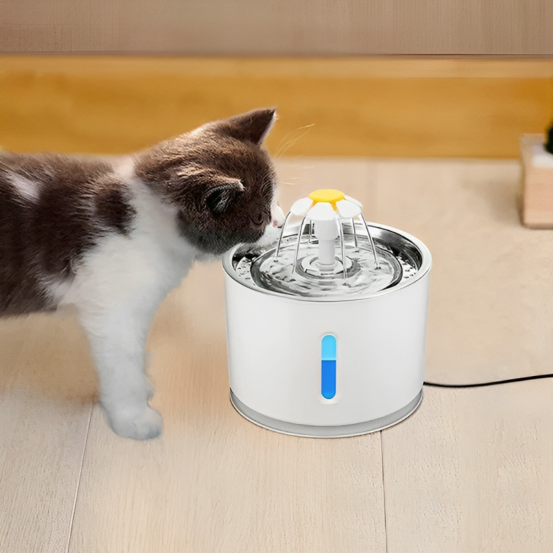 Pet Water Fountain