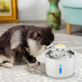 Pet Water Fountain