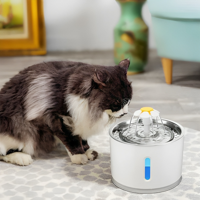 Pet Water Fountain