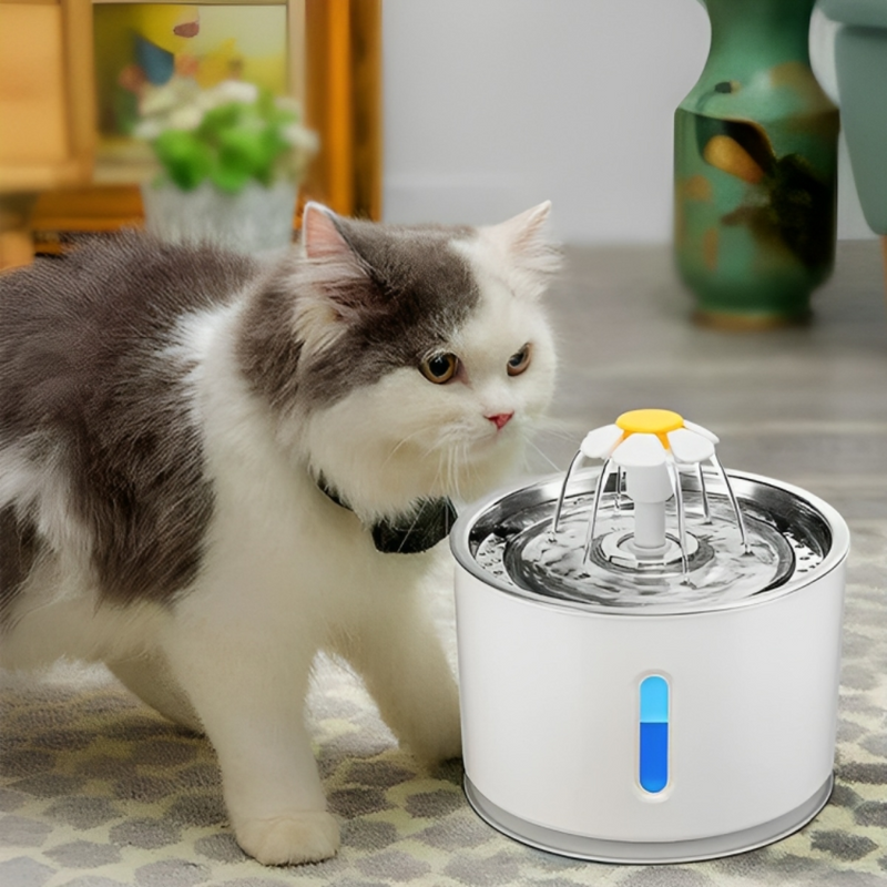 Pet Water Fountain